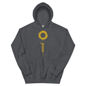 Jesus Is My Sun - Unisex Heavy Blend Hooded Sweatshirt